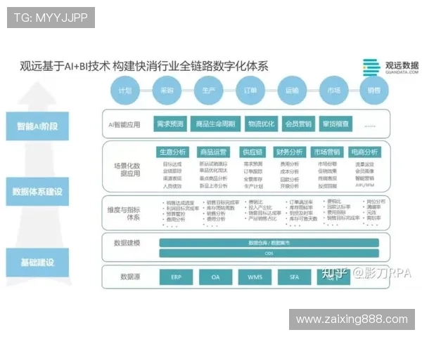 深入分析重庆排球队防反战术的独特魅力与实战应用